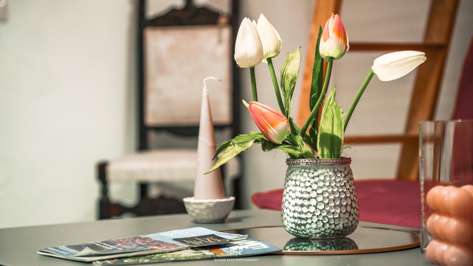 Apartament Dimora Helianthus Salandra Zewnętrze zdjęcie